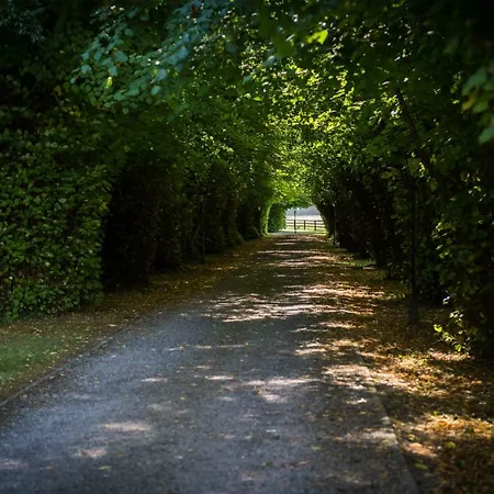 Rocketts Castle Hotel Waterford